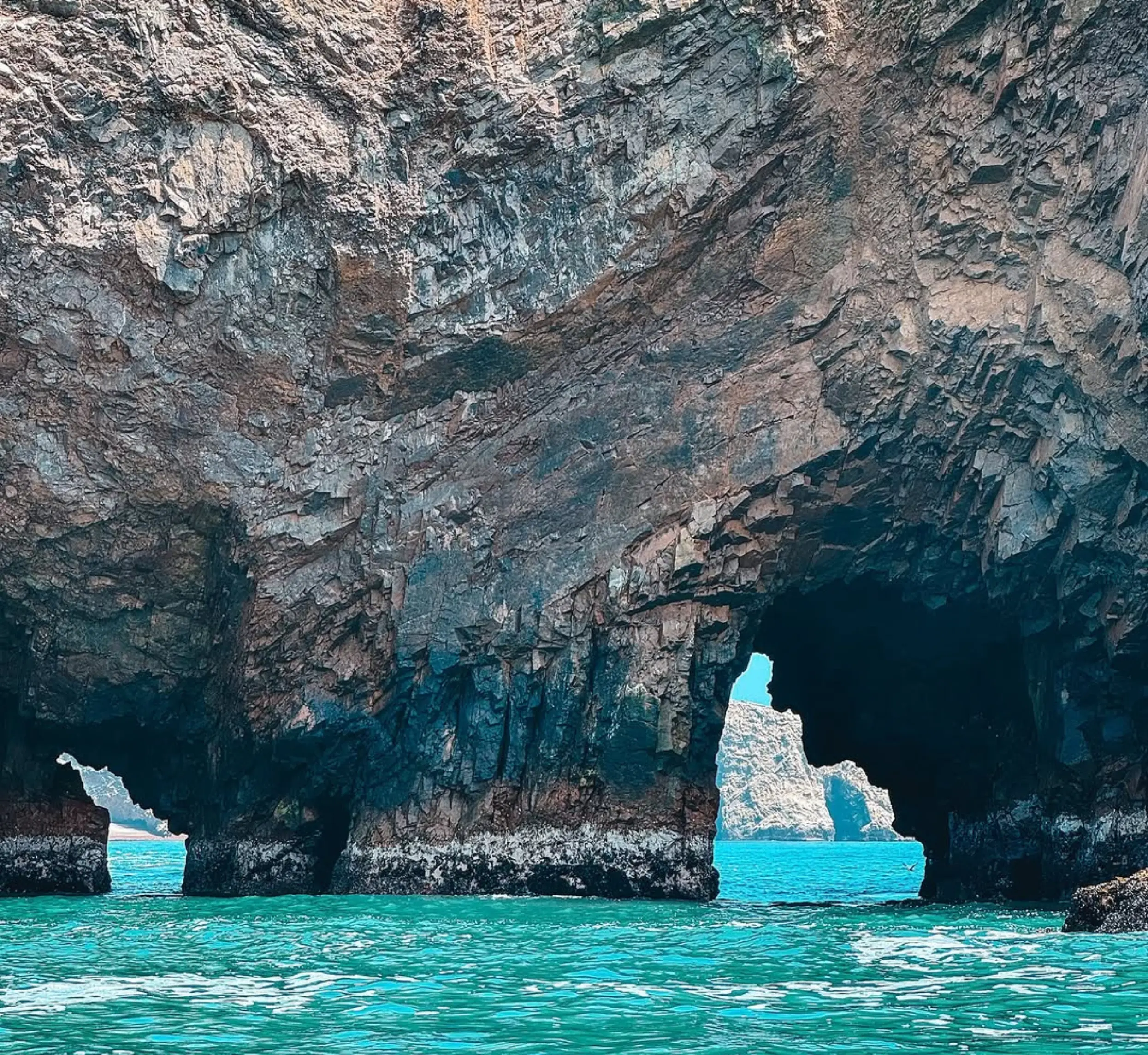 Tour to the Ballestas Islands and Paracas National Reserve 3