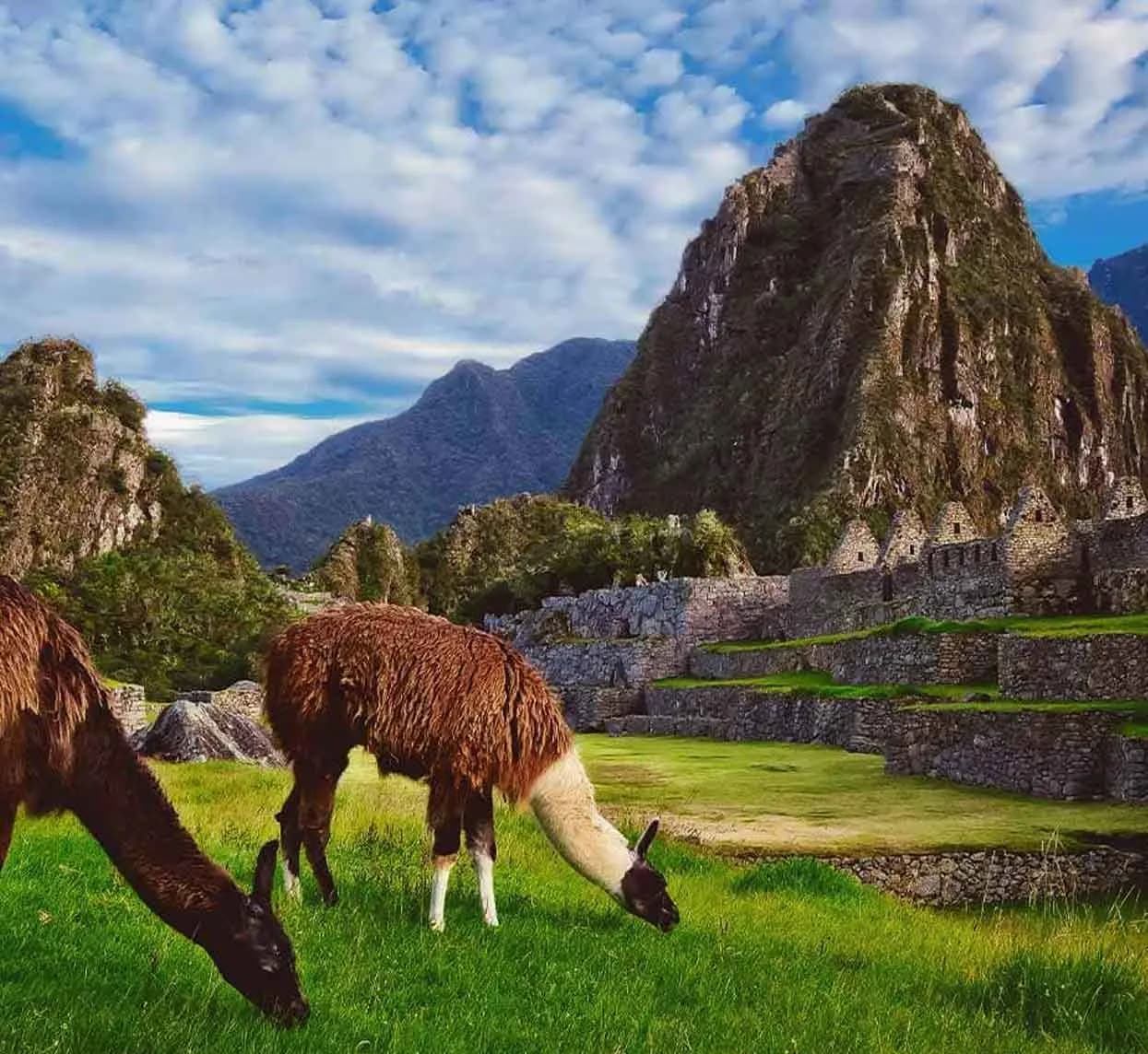 Sacred Valley and Machu Picchu Tour